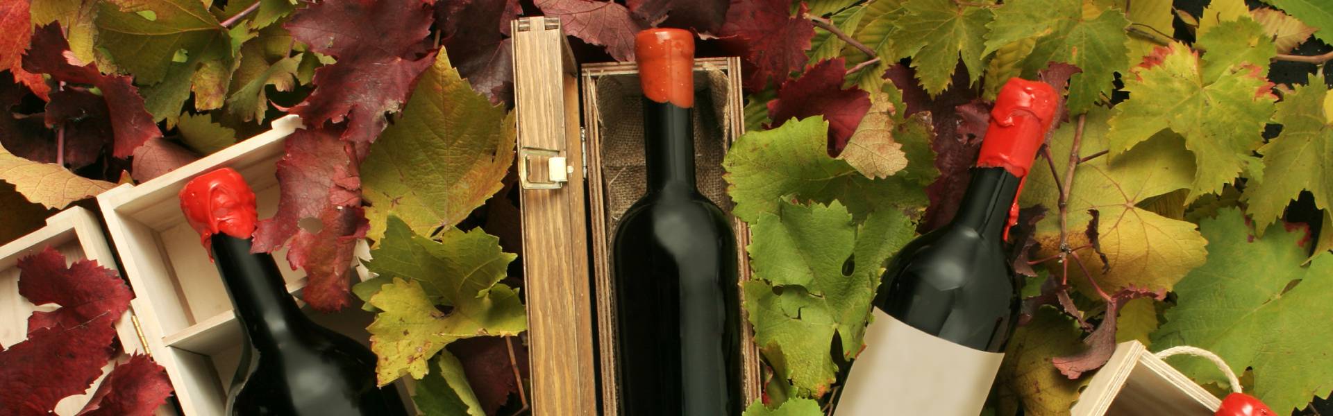How to Choose the Right Wax for Bottle Sealing